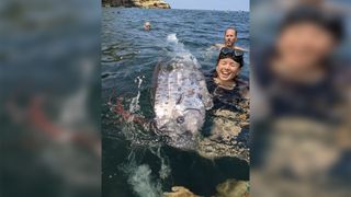 A woman smiles in the water next to a huge long fish