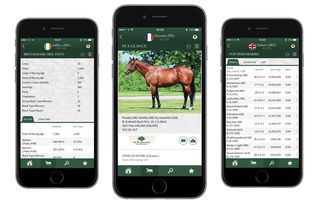 global stallions app