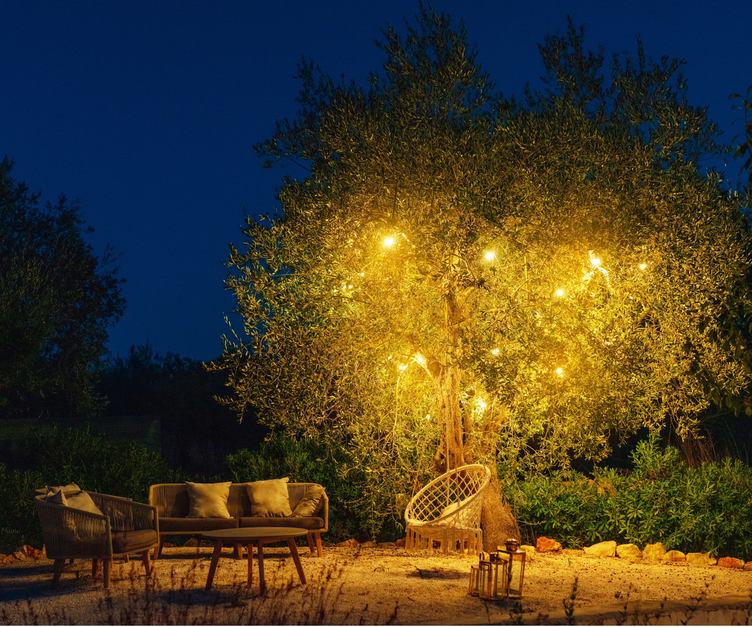 Moonlighting garden tree