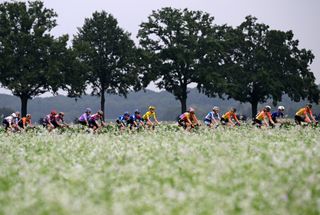 The peloton riding stage four of the Tour de France Femmes 2024