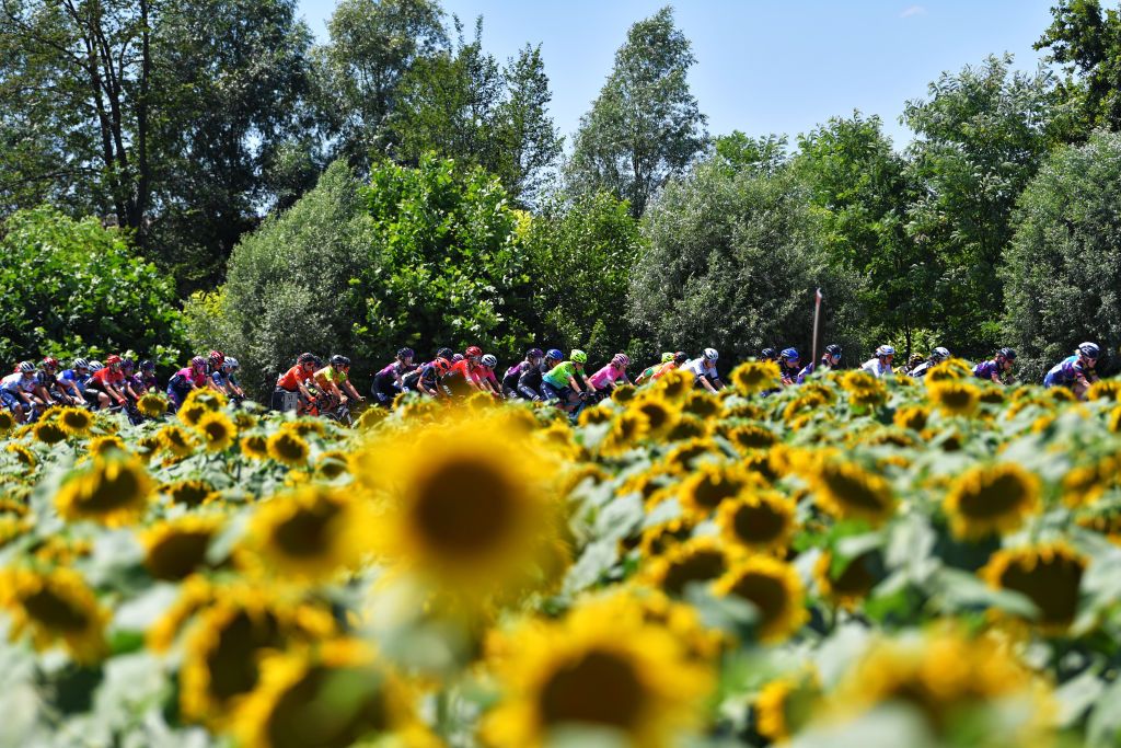 MORTEGLIANO ITALY JULY 09 Anna Van Der Breggen of Netherlands and Team SD Worx Pink Leader Jersey The Peloton passing through a sunflowers field during the 32nd Giro dItalia Internazionale Femminile 2021 Stage 8 a 1294km stage from San Vendemiano to Mortegliano GiroDonne UCIWWT on July 09 2021 in Mortegliano Italy Photo by Luc ClaessenGetty Images
