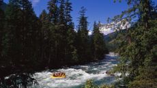 Rafters on a yellow inflatable boat paddle on the Nahatlatch River