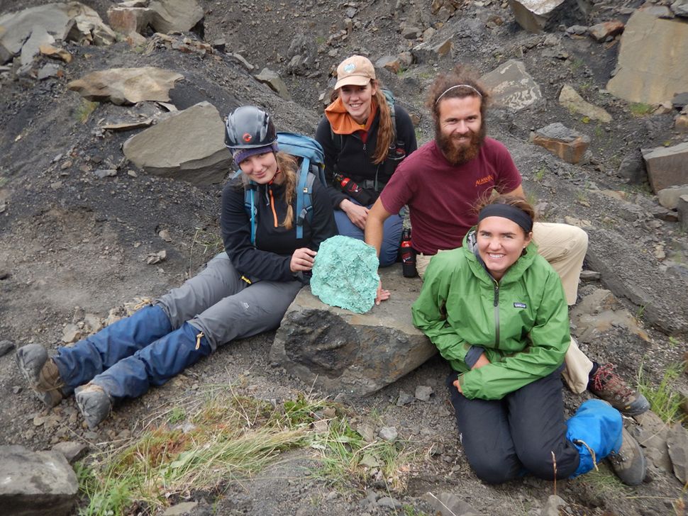 Photos See the 1st Dinosaur Bones Ever Found in Alaska's Denali