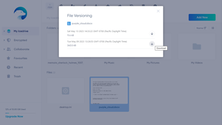 IceDrive cloud storage showing file versioning options
