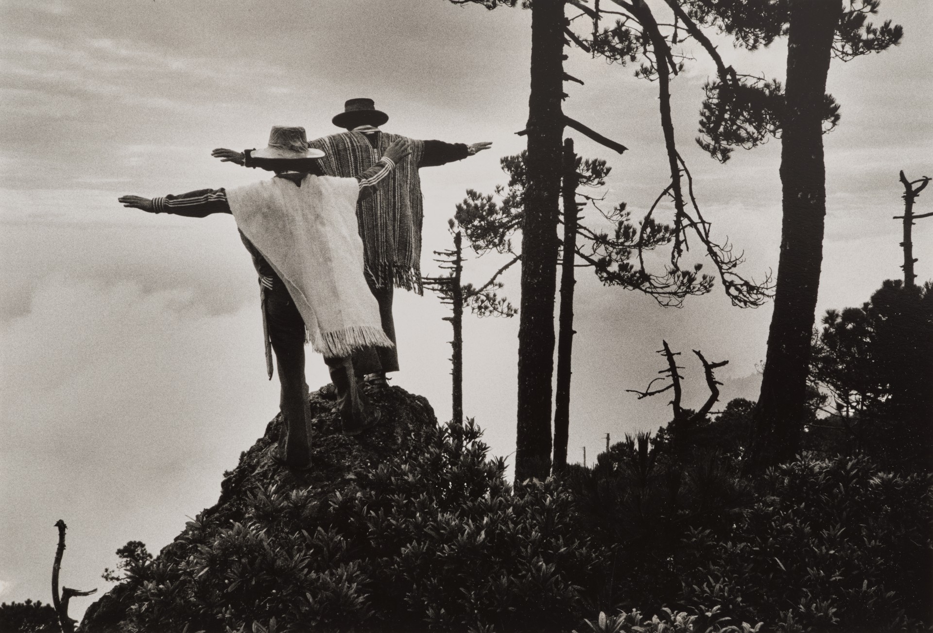 Two figures wearing ponchos and wide-brimmed hats, standing back-to-back on a rocky hilltop with arms spread wide, framed by the bare trunks and branches of pine trees against a cloudy sky.