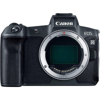 Canon  EOS R