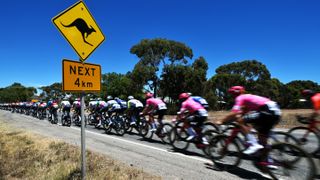 Detailed view of Kangaroo signal while the peloton compete during the 25th Santos Tour Down Under 2025, Stage 5 a 145.7km stage from McLaren Vale to Willunga Hill 371m / #UCIWT / on January 25, 2025 in Willunga Hill, Australia. 