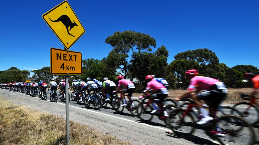Detailed view of Kangaroo signal while the peloton compete during the 25th Santos Tour Down Under 2025, Stage 5 a 145.7km stage from McLaren Vale to Willunga Hill 371m / #UCIWT / on January 25, 2025 in Willunga Hill, Australia. 