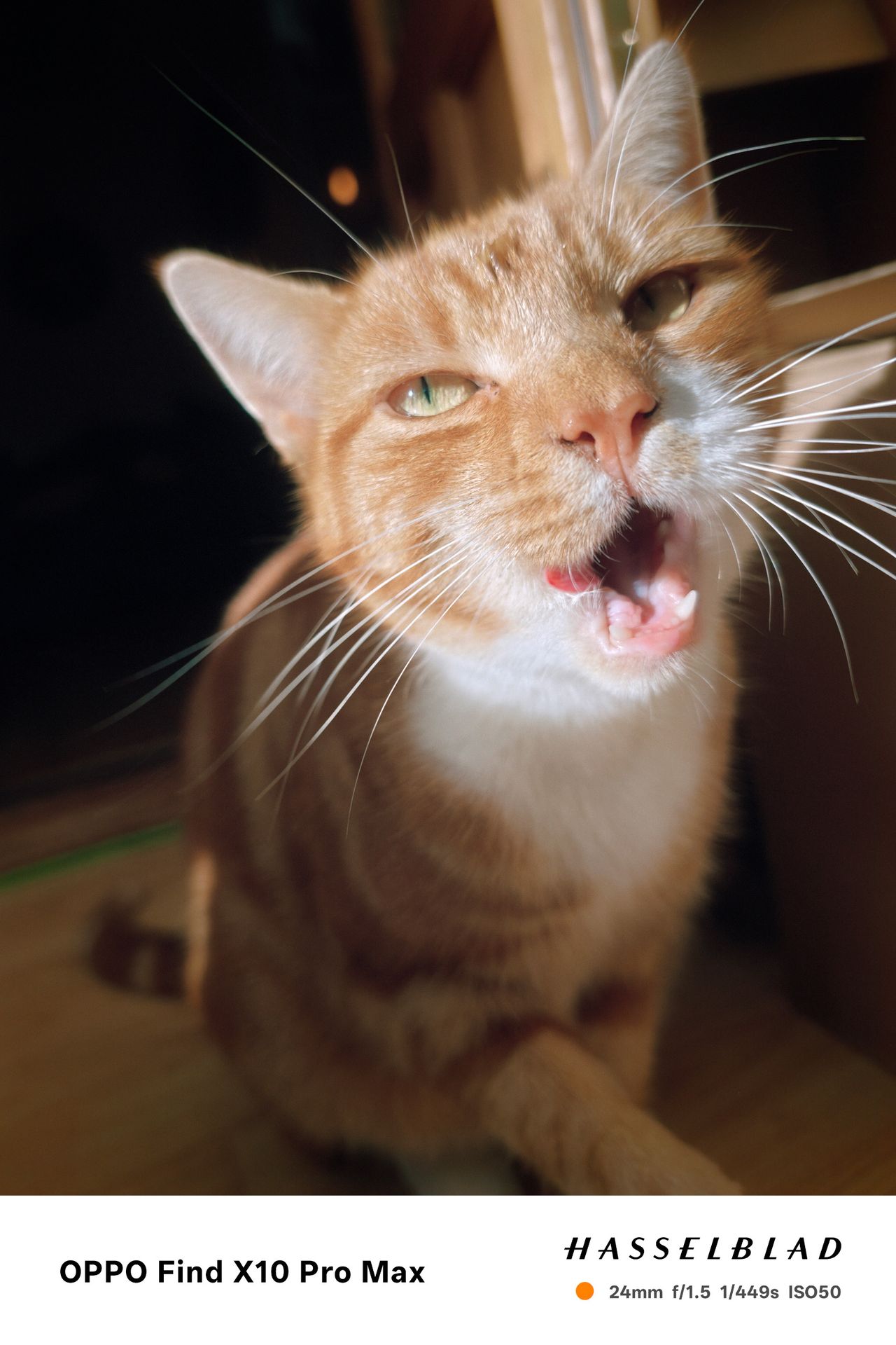 Oppo Find X10 Pro Max sample photo