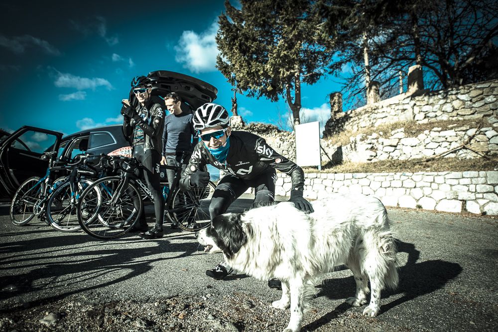 Wout Poels finds a friend