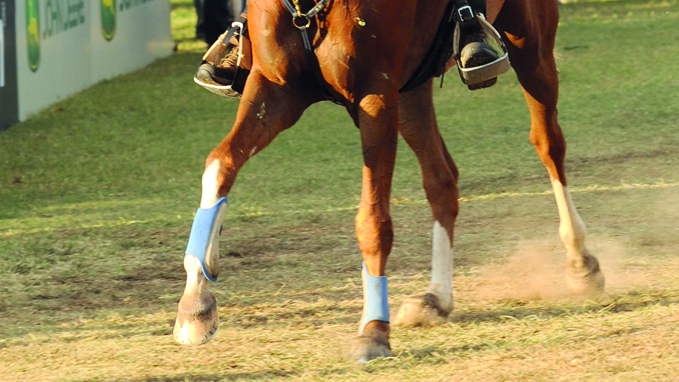 FEI endurance Pierre Arnould