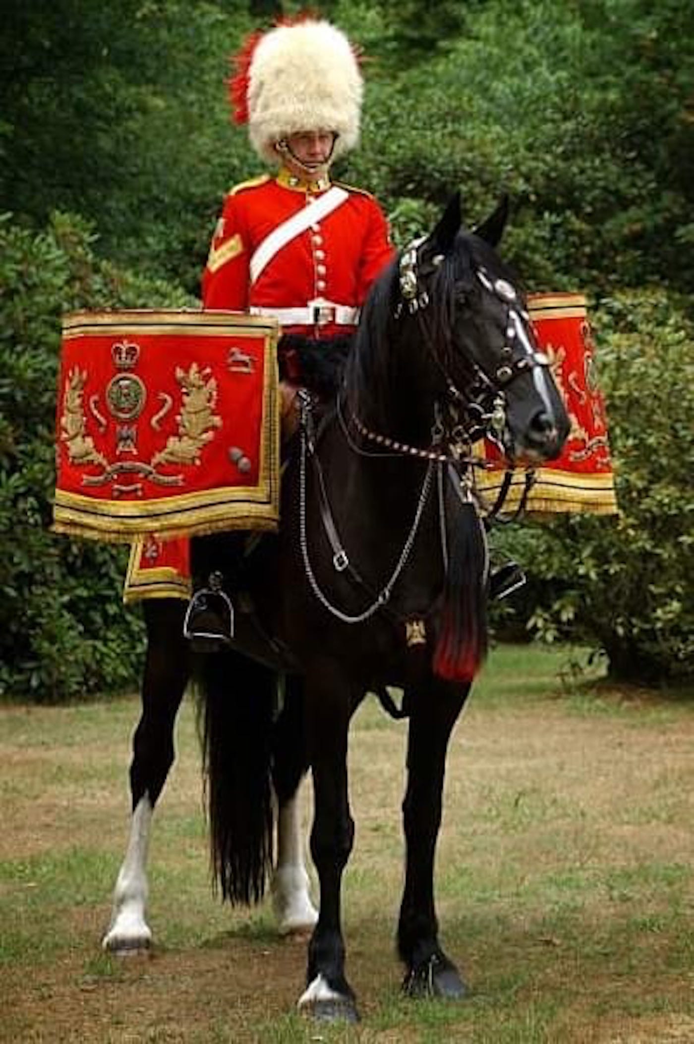 military horse