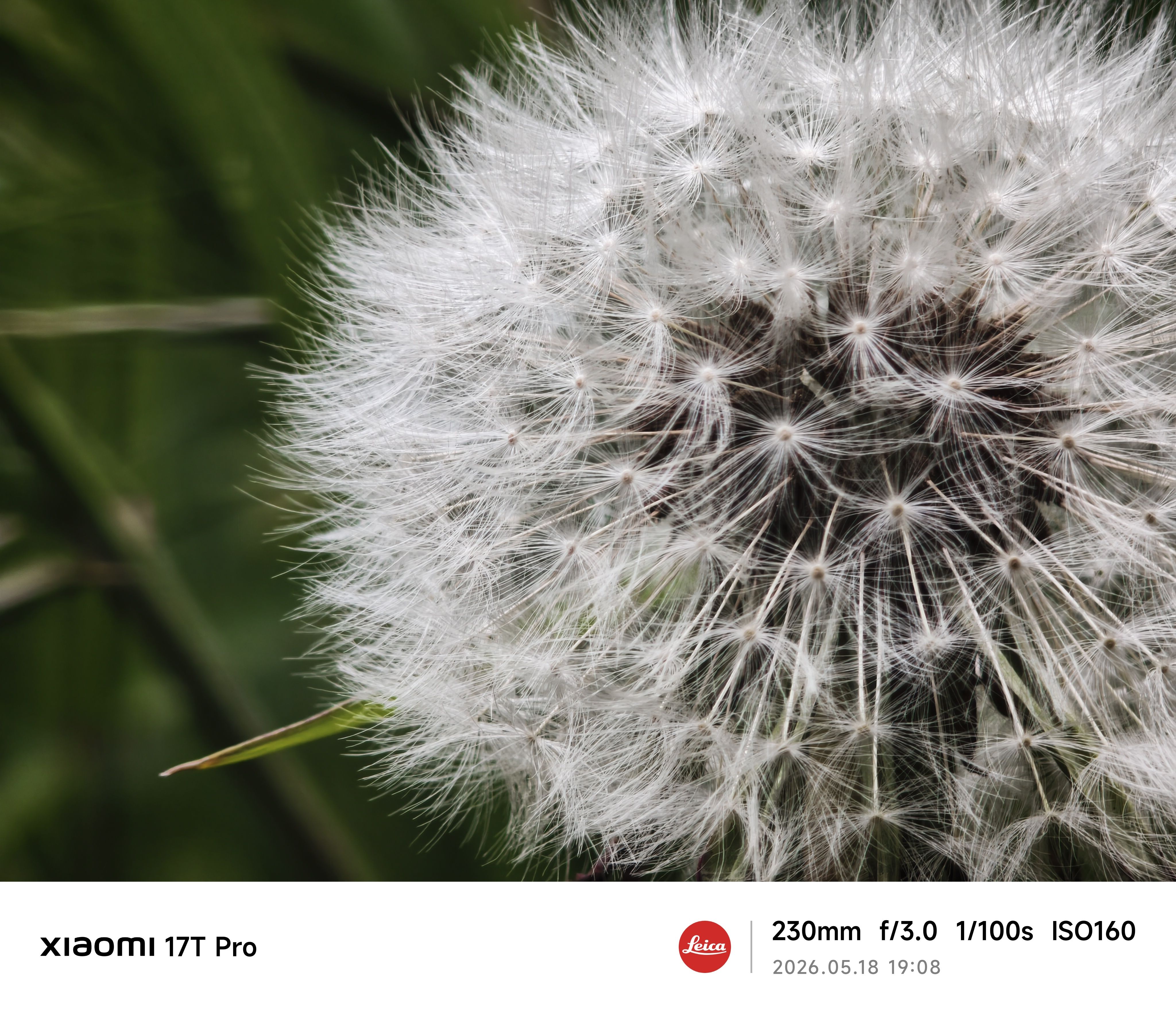 Sample photos from the Xiaomi 17 Pro cameras