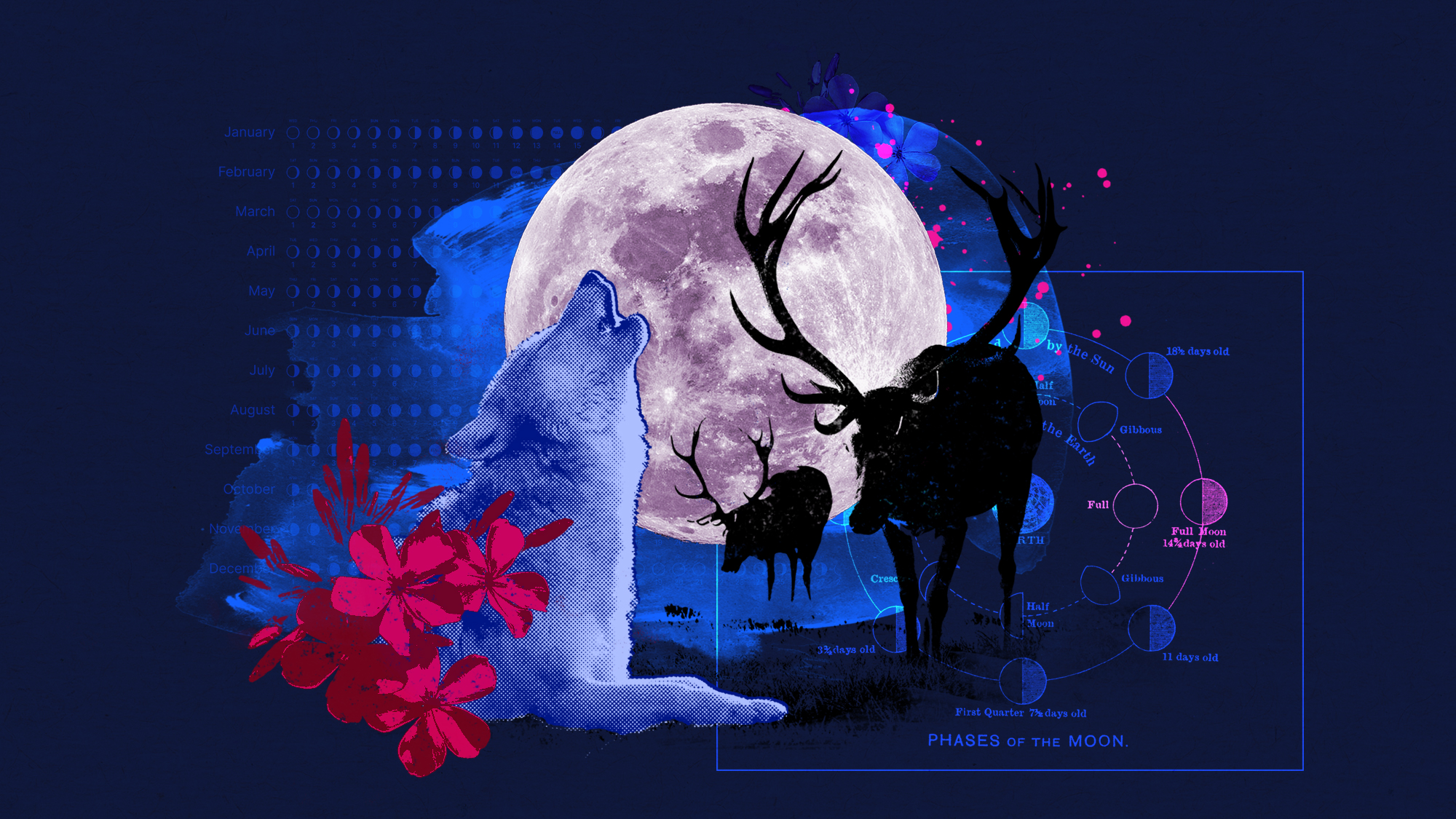 A wolf howling at the full moon in an illustrated nocturnal scene