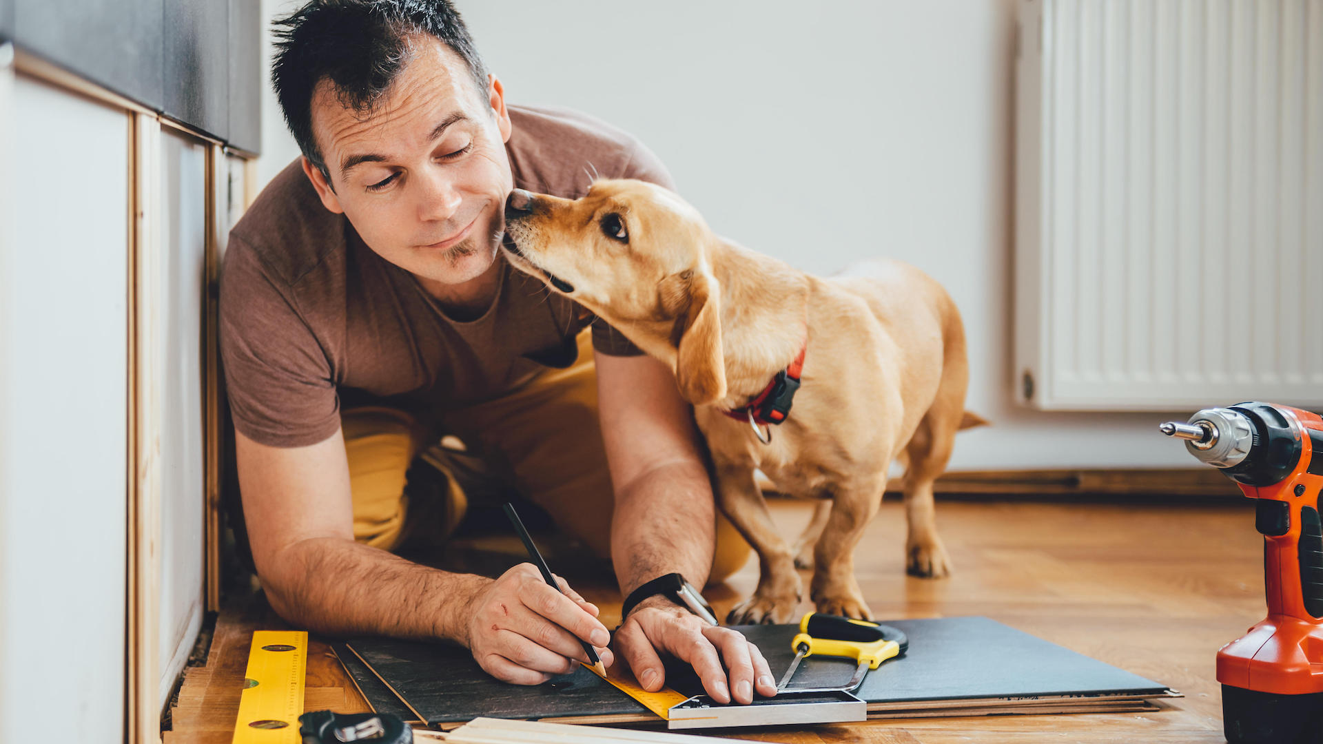 Man trying to do home DIY with dog helping