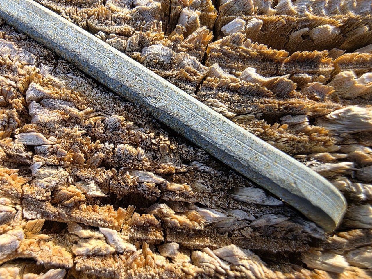 Samsung Galaxy S25 Ultra macro sample.