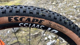 Goodyear Escape tire on DT Swiss wheel