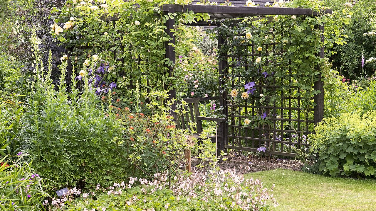 Garden trellis ideas archway with bench