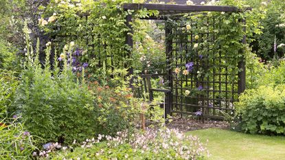 Garden trellis ideas archway with bench