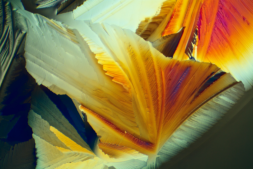 nikon small world competition, citric acid, tartaric acid