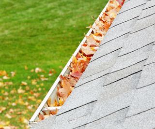 A gutter on roof full of leaves