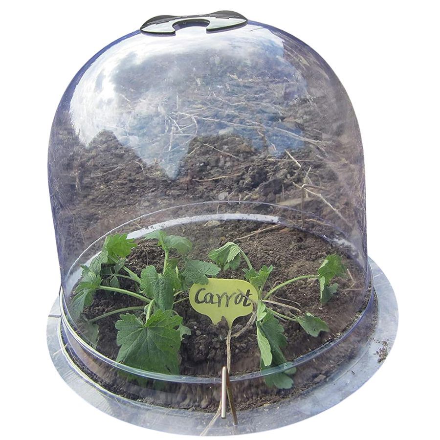 Garden cloche