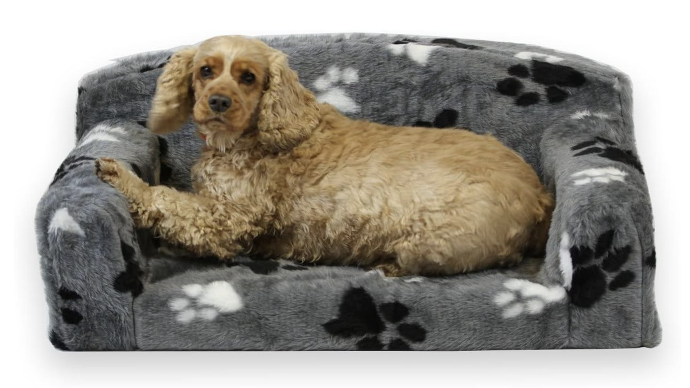 Fur Paws cockapoo lying on dog sofa