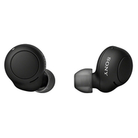 Sony WF-C500 earbuds: Were