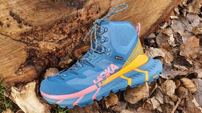 Hoka OneOne TenNine Hike GTX hiking boot on a log