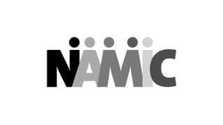 NAMIC logo