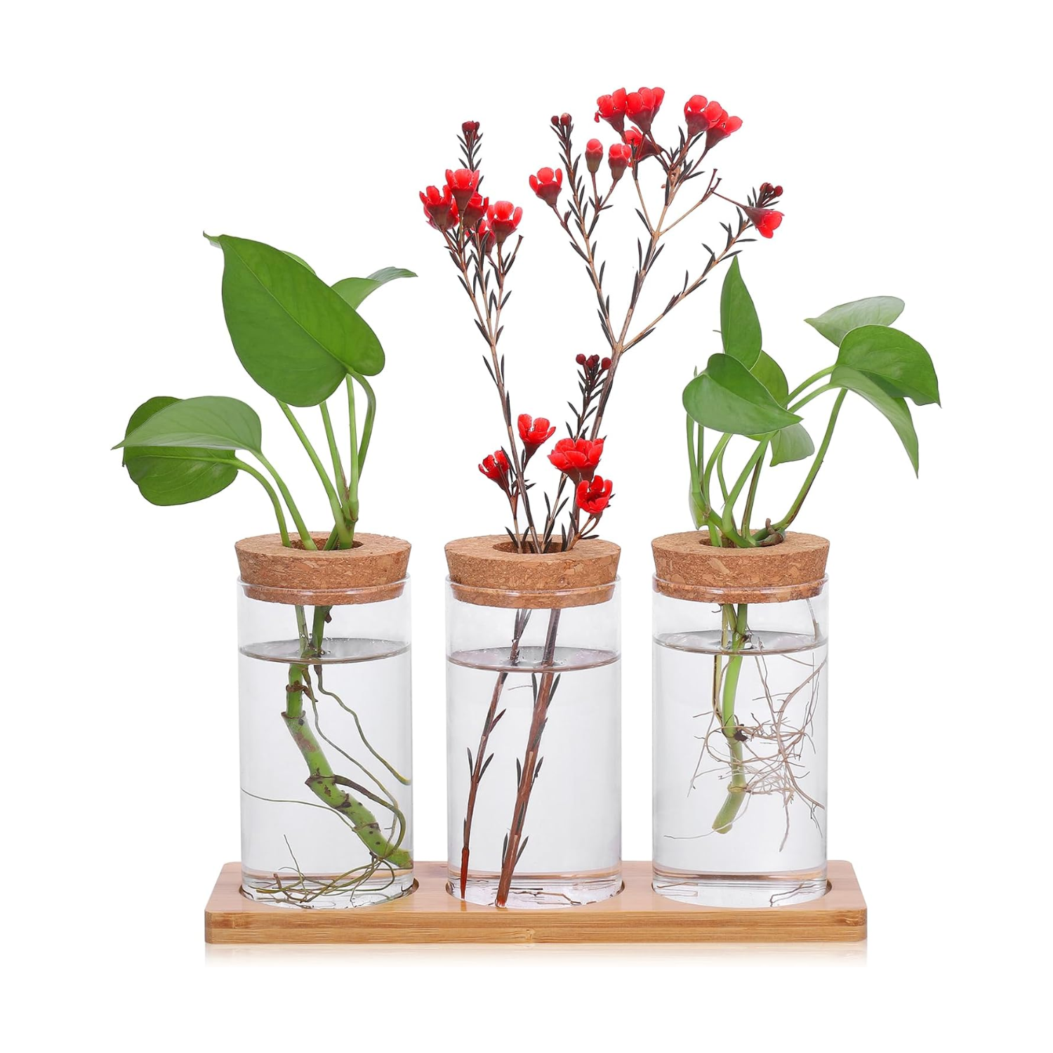 Fentar Propagation Station from Amazon