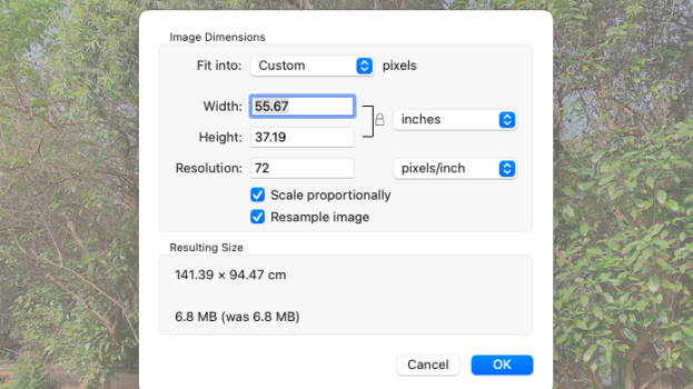 How to resize and crop a photo using Preview on macOS