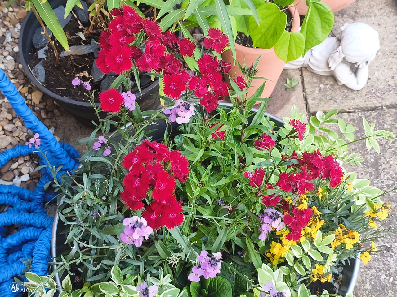 Oukitel WP500 Ultra camera examples