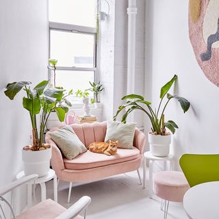 Nook in the apartment with a pink loveseat