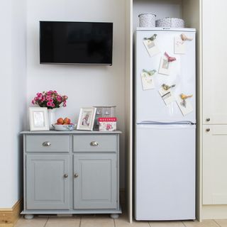 sky blue fridge with tv white flower vase