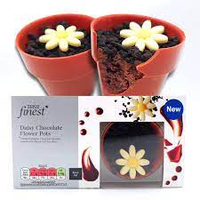 9. Tesco Finest, Belgian Chocolate Plant Pots with Daisies, 156g - View at Tesco