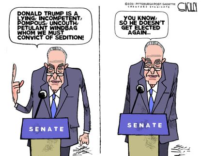 Political Cartoon U.S. schumer trump impeachment