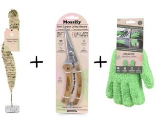 Mossify houseplant care bundle