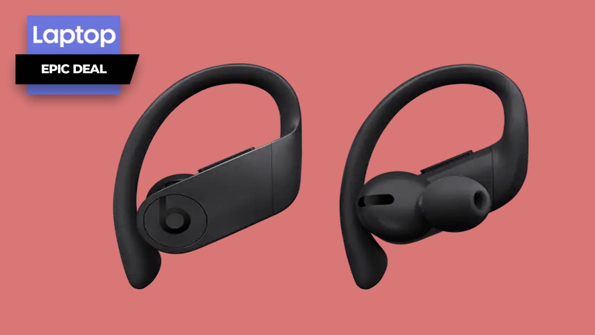 Apple Powerbeats Pro wireless earphones