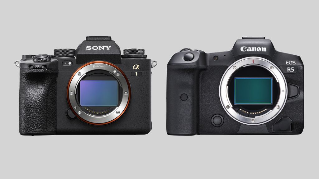 Sony A1 vs Canon EOS R5 Which is the best hires 8K camera? Digital Camera World