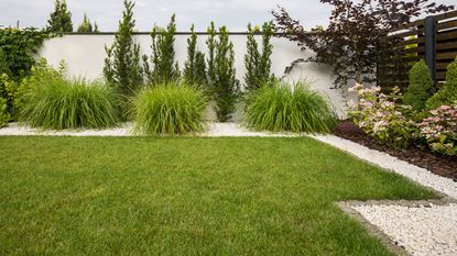 lawn edging with river rocks and minimal plants