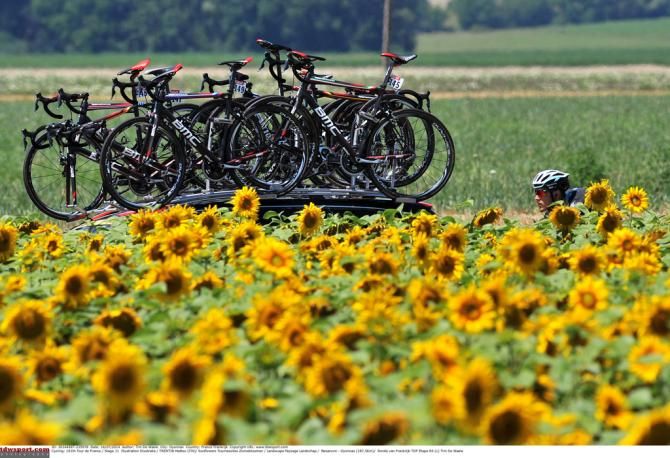 BMC passes a field of sun flowers
