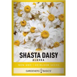  White Shasta Daisy Flower Seeds 