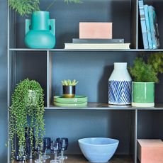 Blue built-in shelves with plants, books and vases