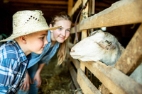 9. City Farms