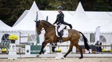 Pau Horse Trials dressage: Tim Price and Falco lead after the first phase.