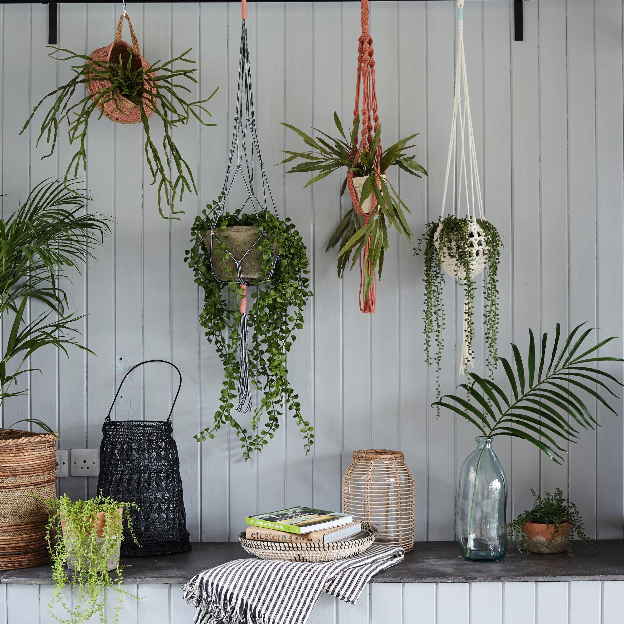 hanging houseplants on rail