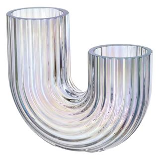 Glass abstract flower vase
