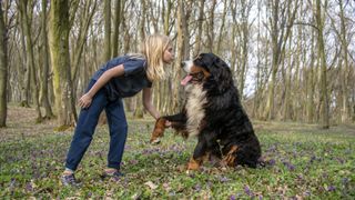 Boy kissing his Bernese mountain dog