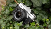 Fujifilm X-T30 III camera in an ivy bush